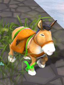 Grass
